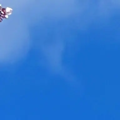 Profile image of 聖人