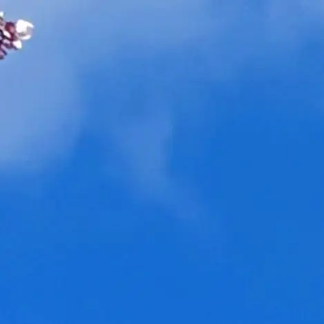 s312mtk2596의 拾いました____。