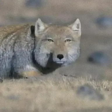 Profile image of ウヨン