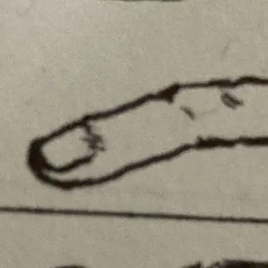 Profile image of 니콜라스