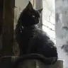 Profile image of Fenrir