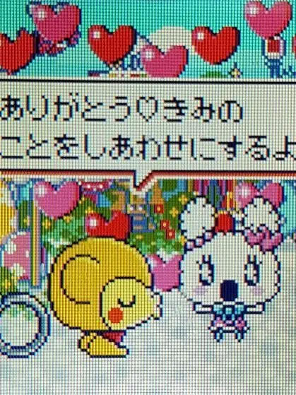 Konti_ya_fioti_ya_Stella의 꼬리는 언젠간 잡힌다🔫