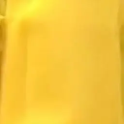 Profile image of 岩本照