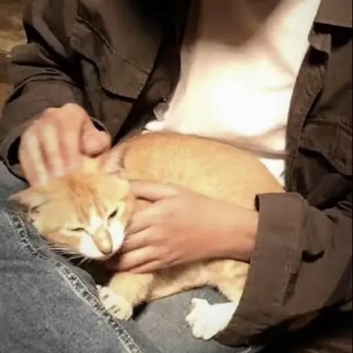 nsjfxkshd의 이동혁