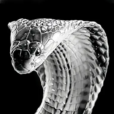 Profile image of 아론
