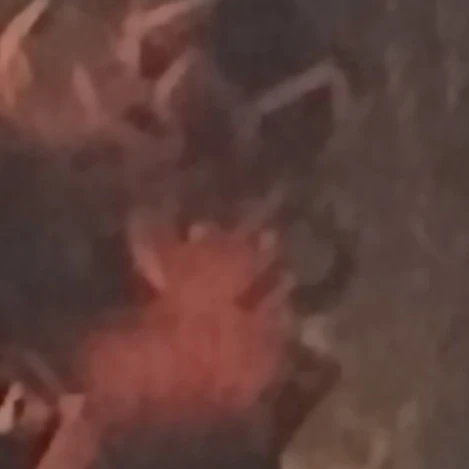 童磨