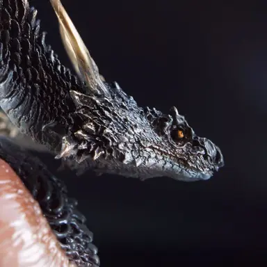 Profile image of ヴェルドラ