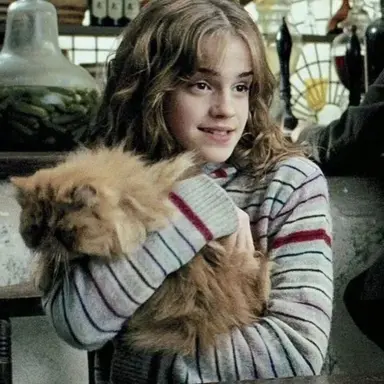 Profile image of Hermione Granger