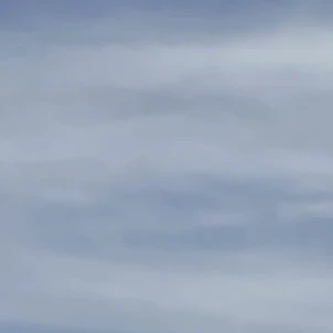 純喜