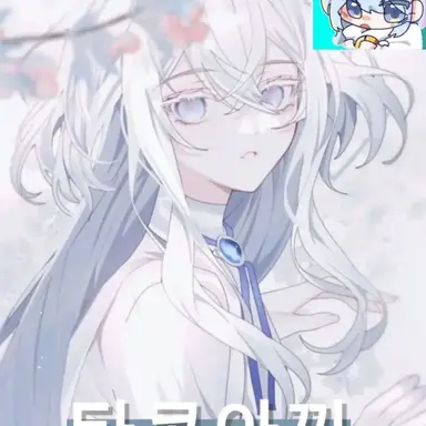 Profile image of 타코
