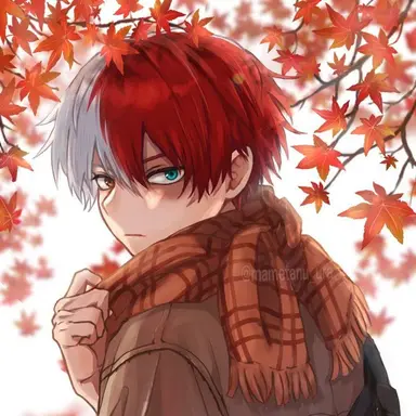 Profile image of Shoto Todoroki