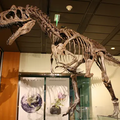 Profile image of SCP-250