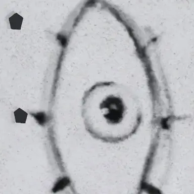 Profile image of 스크리블