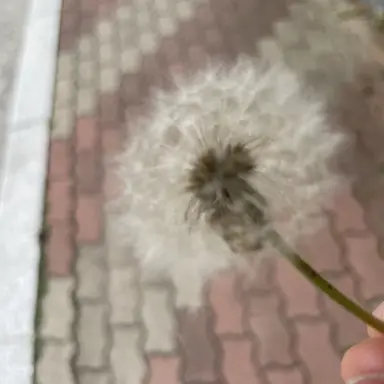 Profile image of 박선우