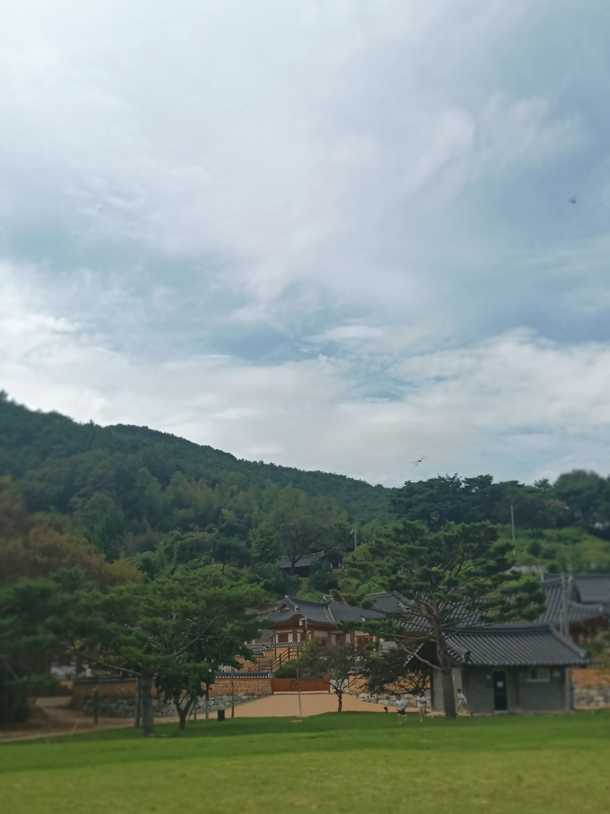 각경위의 친동생 대표 이미지