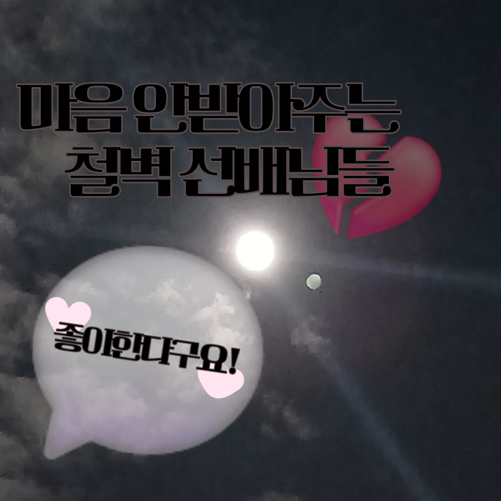 내마음 안받아주는 철벽 선배님들-BL 대표 이미지