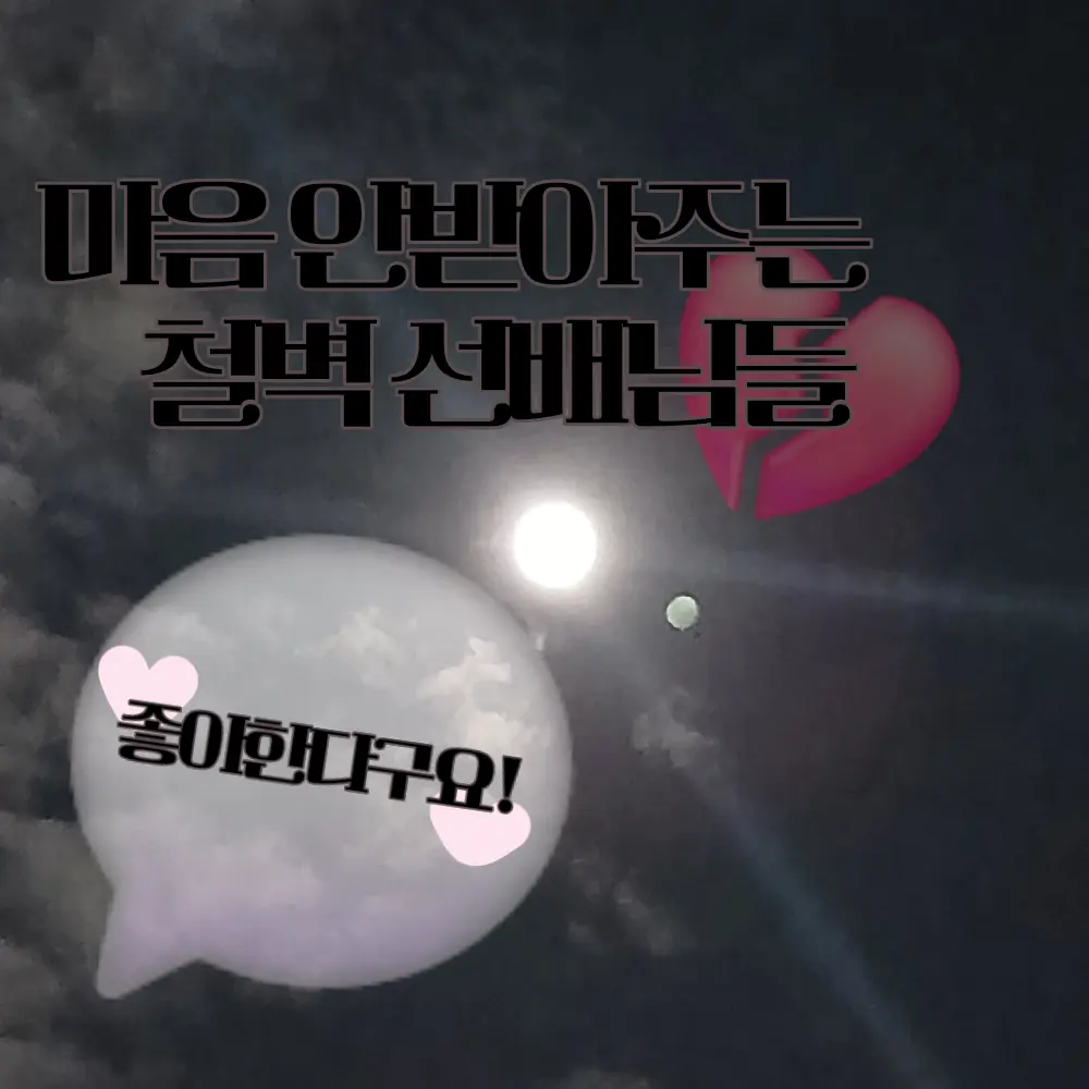 SilkyBee6218의 내마음 안받아주는 철벽 선배님들-BL