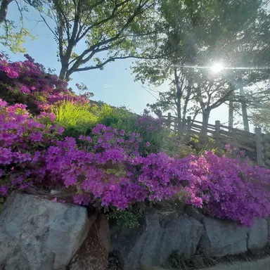 Profile image of 황수현