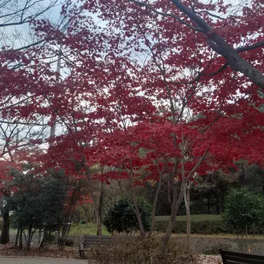 Profile image of 서라더