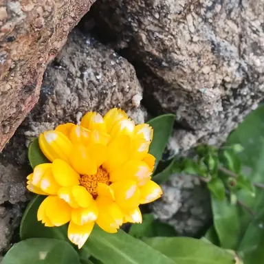 Profile image of 김각별