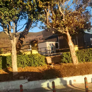 Profile image of 김여우