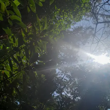 Profile image of 정공룡