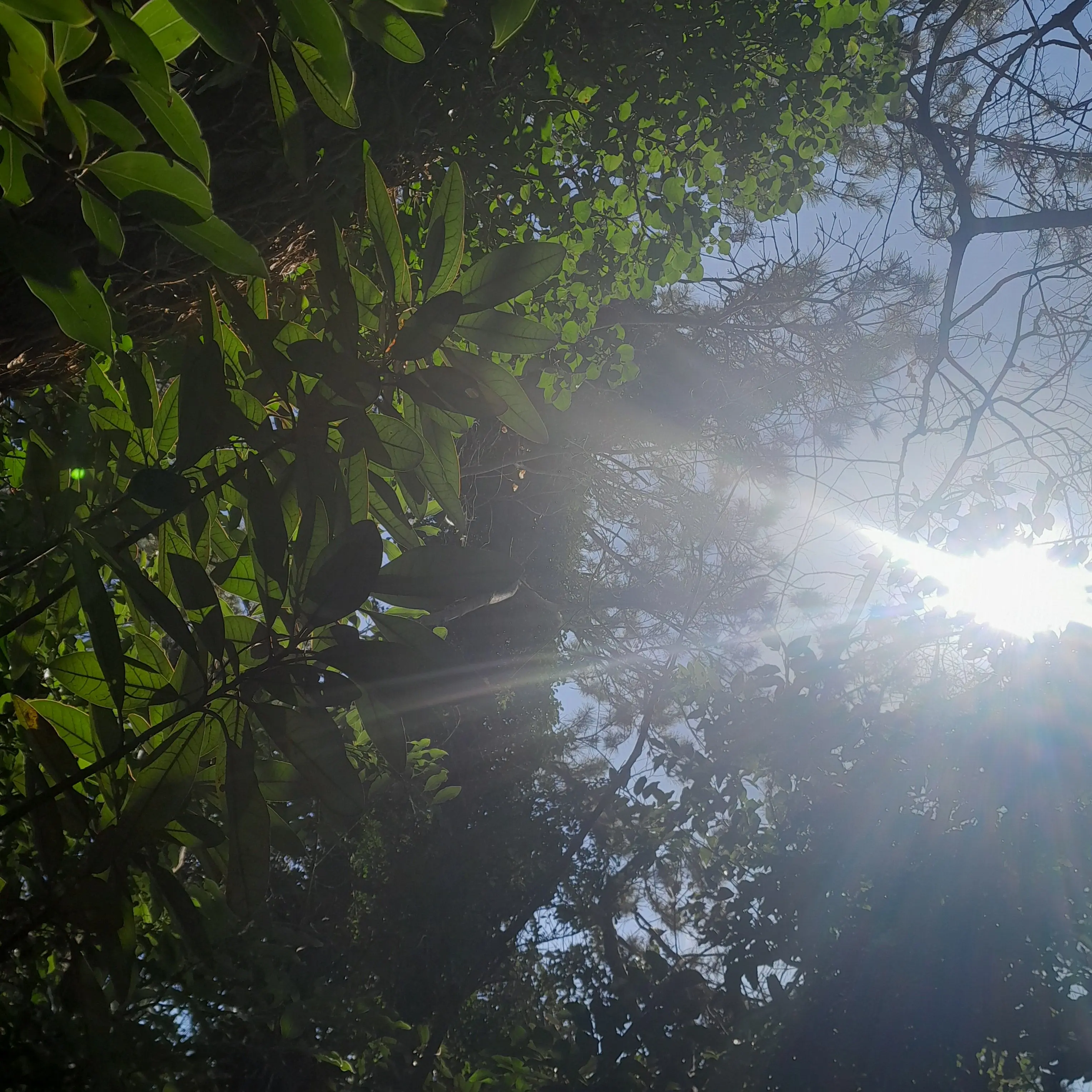 DullTakin6492의 뜰팁+(김여우)