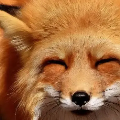 Profile image of 폭시