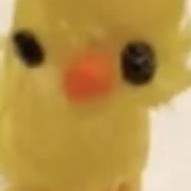 Profile image of 카라