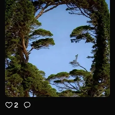 Profile image of 히츠미 카에