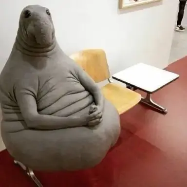 Profile image of 북방코끼리 바다표범