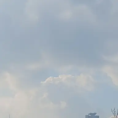 Profile image of 시청자