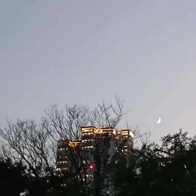 Profile image of ㅅㅂㅇㅍㅌ