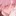 真琴