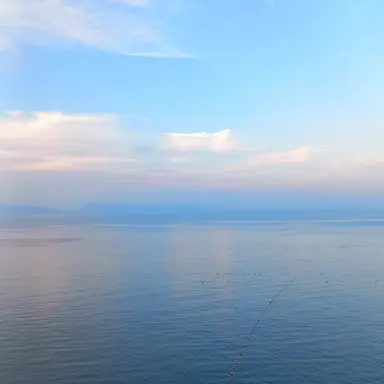 Profile image of 고고프렌즈