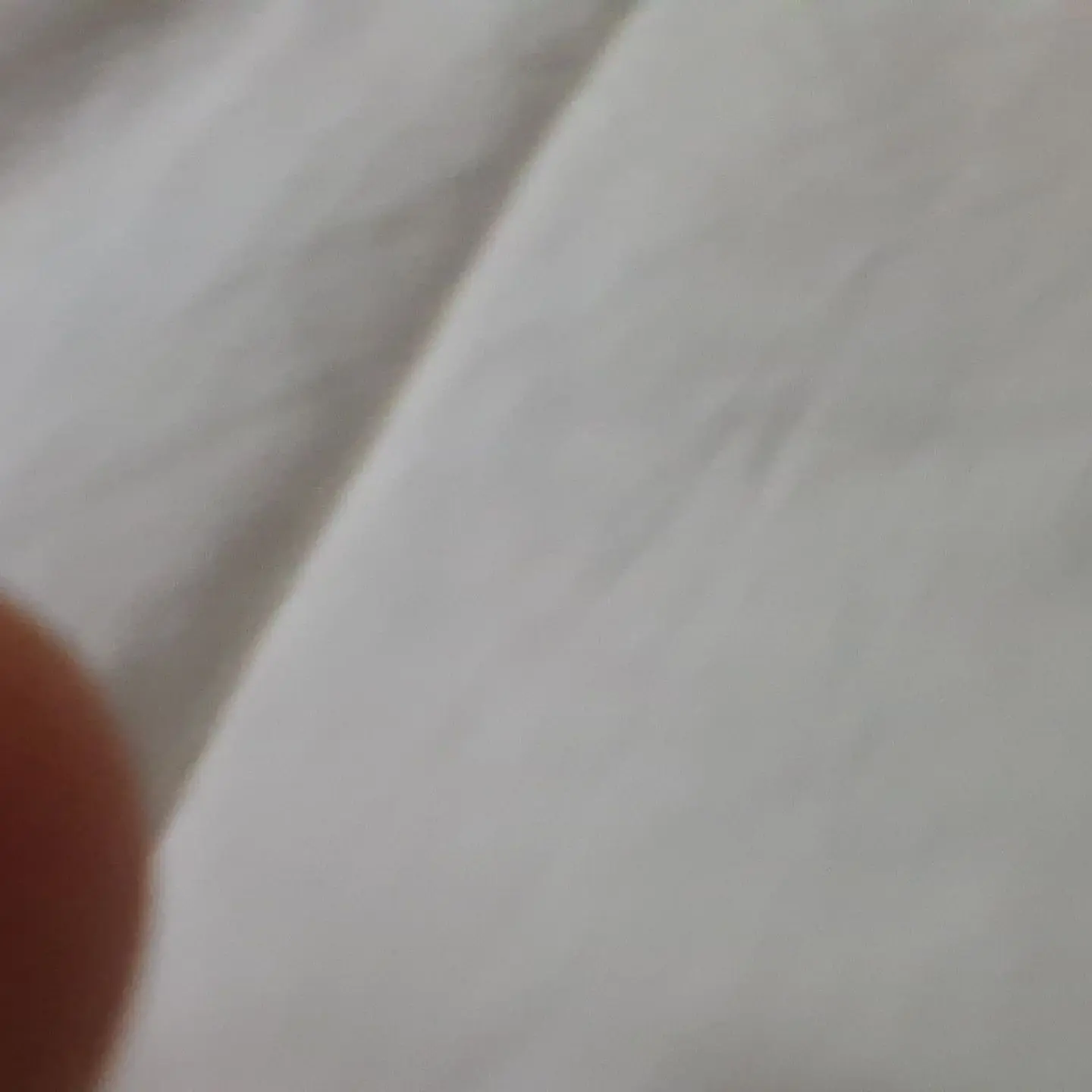 TamestRobot2918의 로떼의밤