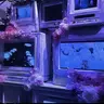 Profile image of 알프레드