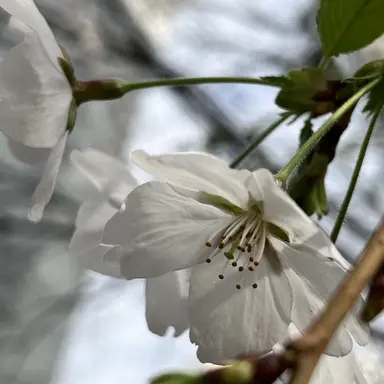 Profile image of 진