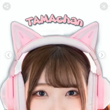 Profile image of たまちゃんねる