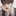 윤 빈