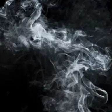 Profile image of 目黒蓮