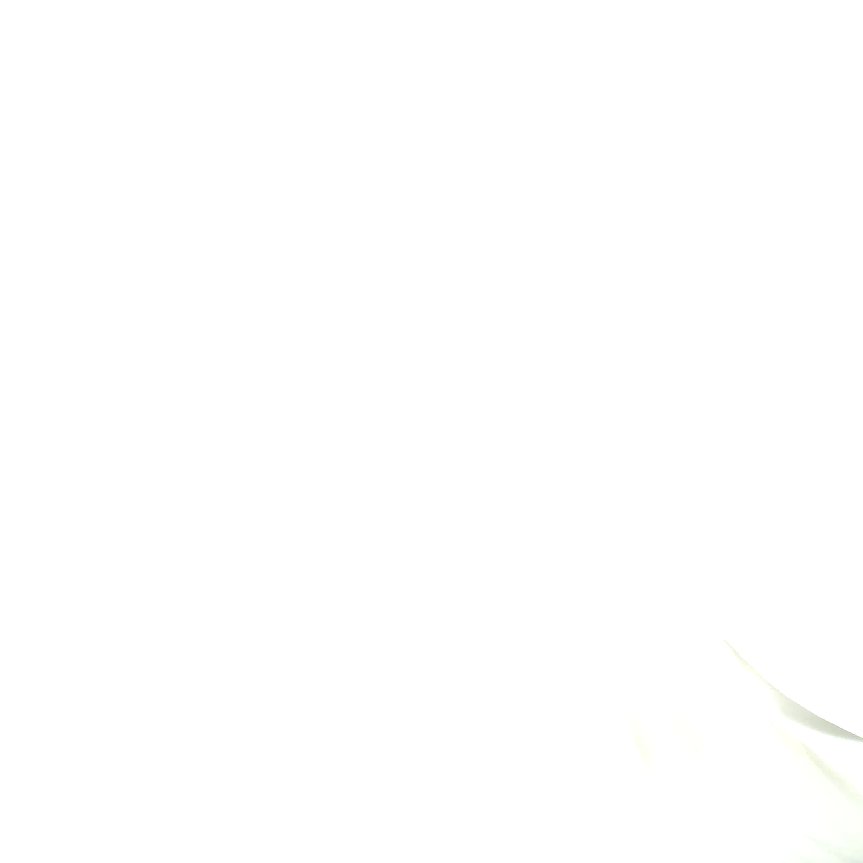 조우안신