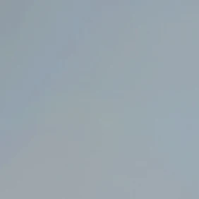 김평학