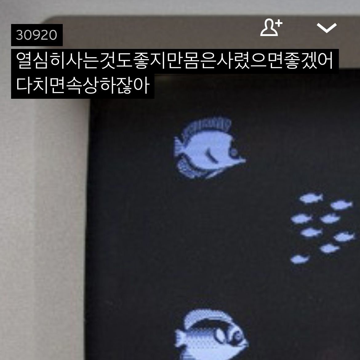 敏亨 대표 이미지