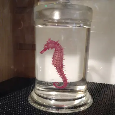 Profile image of 枢軸たちとソ連