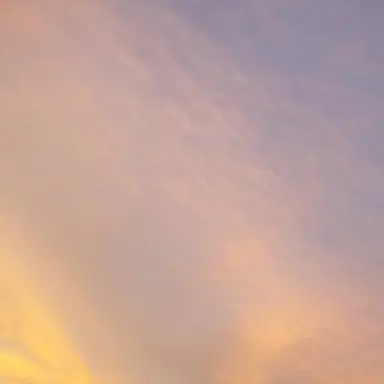 Profile image of 조직원2