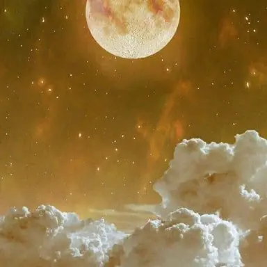 Profile image of 모양몬