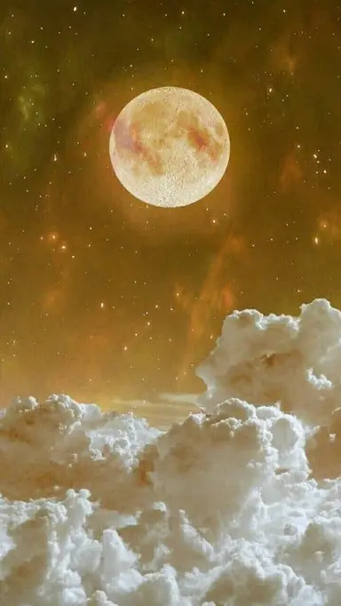 Profile image of 모양몬