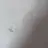 컨휴