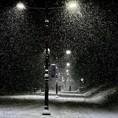 Profile image of 아이자와 쇼타